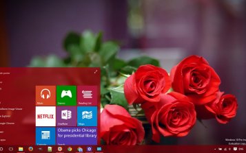 Roses Theme Desktop