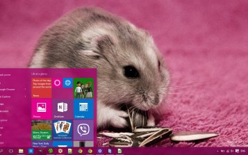 Hamster Theme Desktop