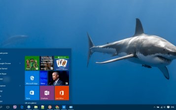 Shark Theme Desktop