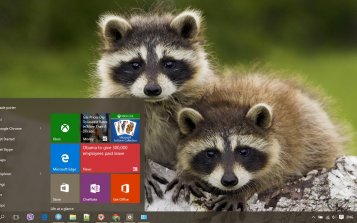 Raccoon Theme Desktop