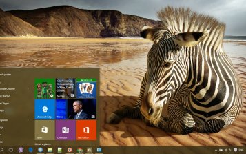 Zebra Theme Desktop