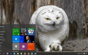 Snowy Owl Theme Desktop