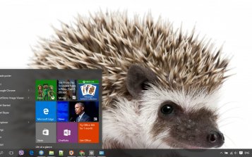 Hedgehog Theme Desktop