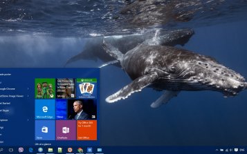 Whale Theme Desktop