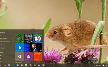 Mouse Theme Desktop