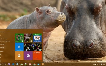 Hippo Theme Desktop