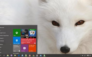 Arctic Fox Theme Desktop