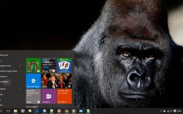 Gorilla Theme Desktop