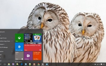 Barred Owl Theme Desktop