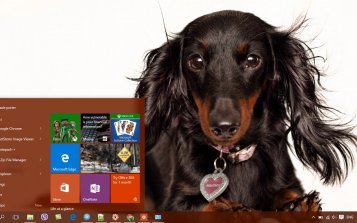 Dachshund Theme Desktop