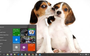 Beagle Theme Desktop