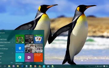 Emperor Penguin Theme Desktop