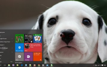 Dalmatian Theme Desktop