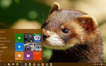 Ferret Theme Desktop