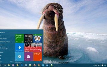 Walrus Theme Desktop
