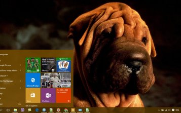 Shar Pei Theme Desktop