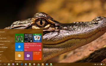 Alligator Theme Desktop