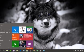 Wolf Theme Desktop
