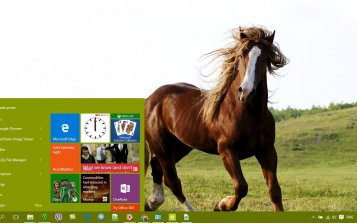 Horse Theme Desktop