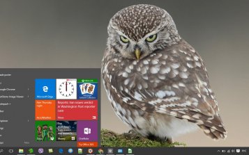Owl Theme Desktop