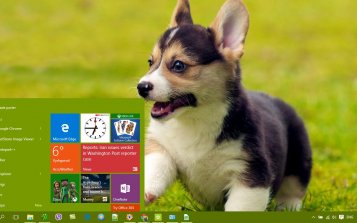 Puppy Theme Desktop