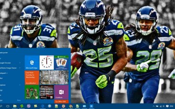 Seattle Seahawks Theme Desktop