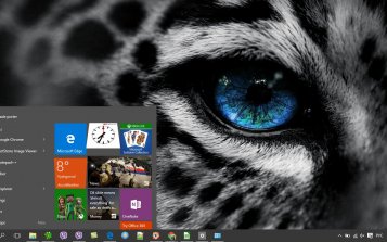 Leopard Theme Desktop