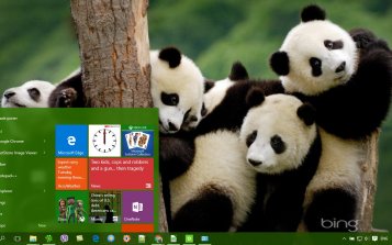 Panda Theme Desktop