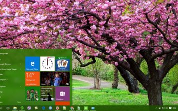 Cherry Blossom Theme Desktop