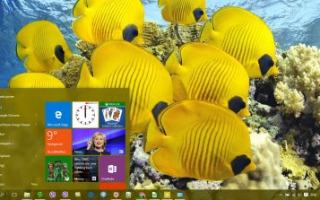 Fish Theme Desktop