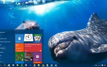 Dolphin Theme Desktop
