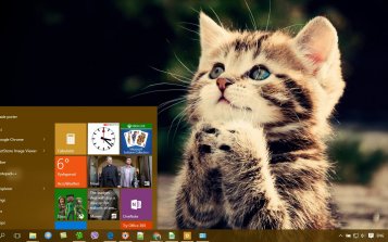 Kitten Theme Desktop