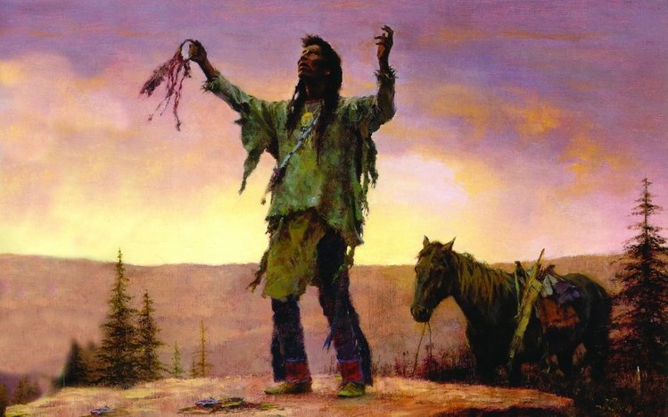 Native American Theme screenshot #3