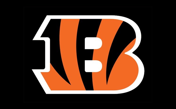 Cincinnati Bengals Theme screenshot #5