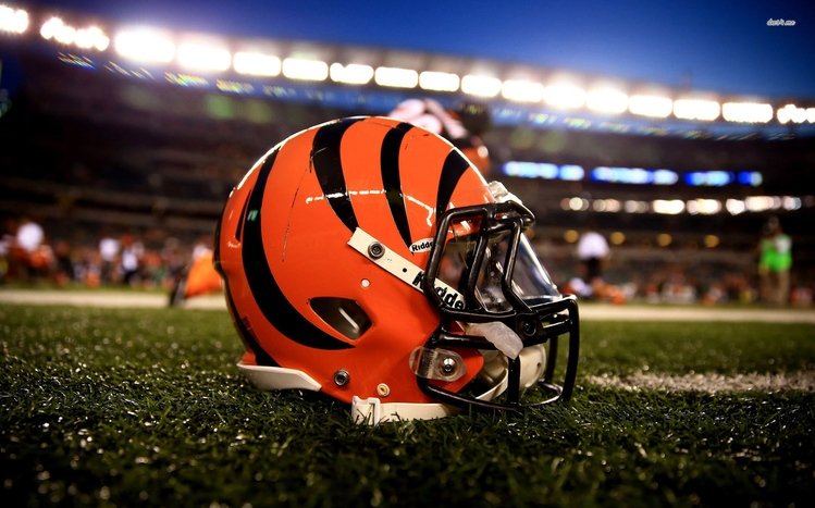 Free download cincinnati bengals5 [3300x2550] for your Desktop