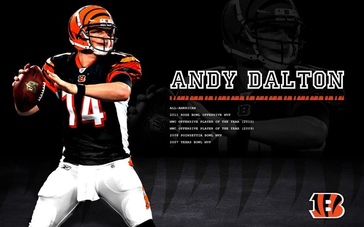 Cincinnati Bengals Theme screenshot #14