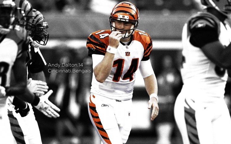 The Cincinnati Bengals - Football & Sports Background Wallpapers