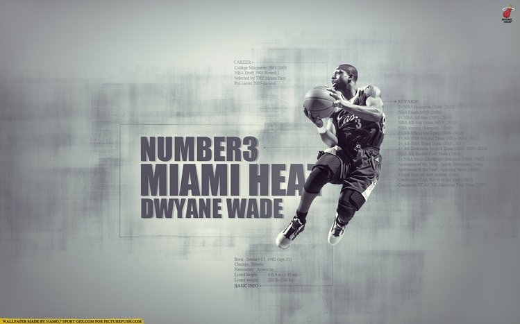 Dwyane Wade Theme screenshot #3