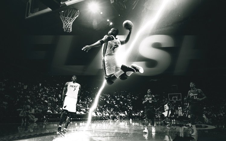 Dwyane Wade Theme screenshot #7
