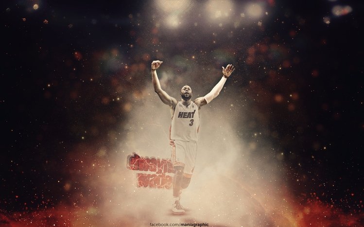 Dwyane Wade Theme screenshot #9