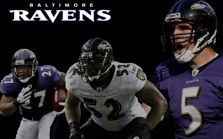 Ravens Theme screenshot #17