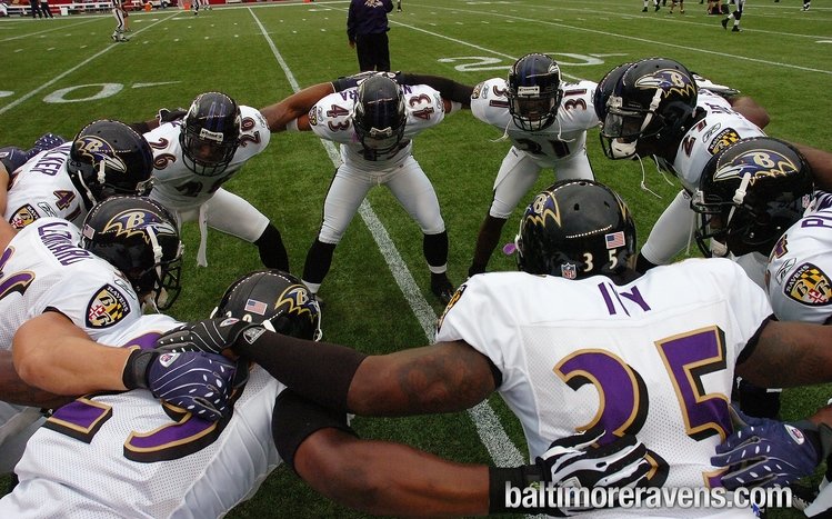 Ravens Theme screenshot #10