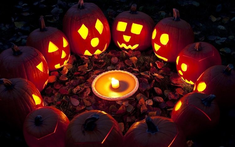 Pumpkin Theme screenshot #11