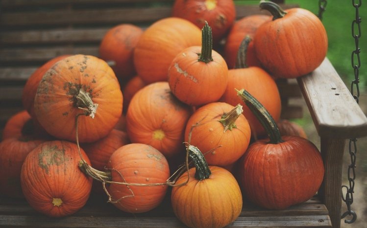 Pumpkin Grey autumn fall halloween halloween pumpkins pumpkins  thanksgiving HD phone wallpaper  Peakpx