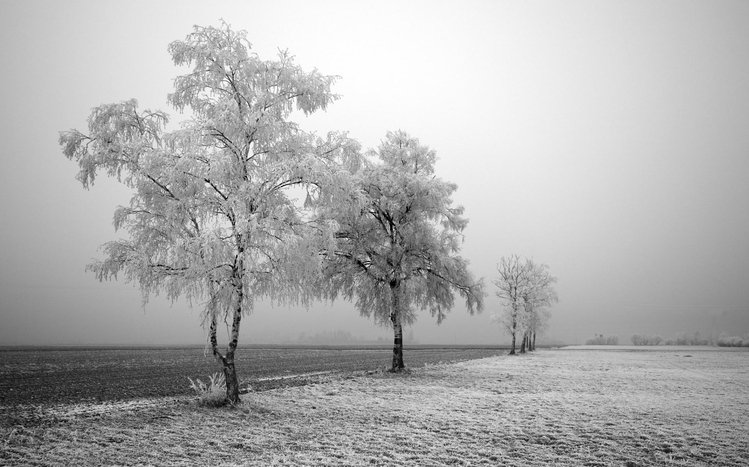 Sad Theme screenshot #18