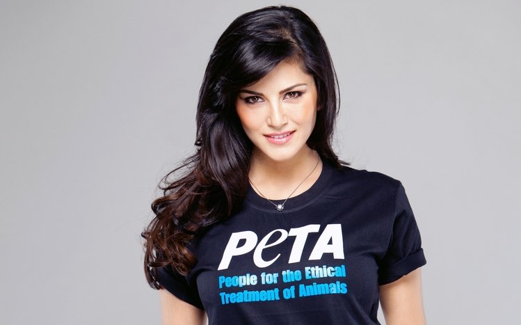 Sunny Leone Theme screenshot #7