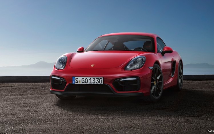 Porsche Theme screenshot #8