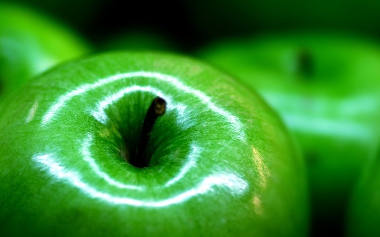 Food Theme screenshot #17