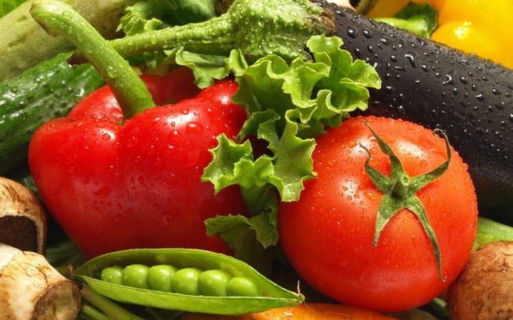 Food Theme screenshot #12