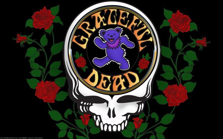 Grateful Dead Theme screenshot #4